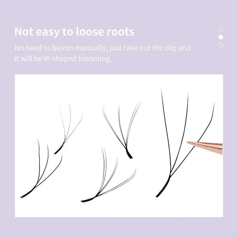 DIYDAY W Shape Eyelashes Extensions W Shaped Bloom 3d 4d 5d 6d 7d 8d Eye Lashes Natural Soft Premade Fan Lash Extensions Éditions Traditions & Modernité Inc. 185980101;20260611;1781193587w9ZkL