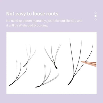 DIYDAY W Shape Eyelashes Extensions W Shaped Bloom 3d 4d 5d 6d 7d 8d Eye Lashes Natural Soft Premade Fan Lash Extensions Éditions Traditions & Modernité Inc. 185980101;20260611;1781193587w9ZkL