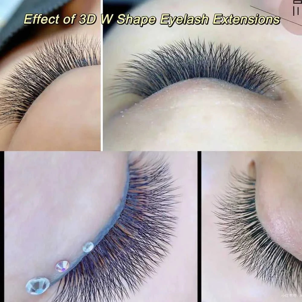 NAGARAKU Automatic Flowering W Shape Bloom 3D 4D 5D 6D 7D 8D Premade Fans Speed Eyelash Extensions Natural Soft Light Full Dense Éditions Traditions & Modernité Inc. 185979703;20260611;1781193416HiuWL